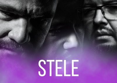 3 sud est piesa stele 2017