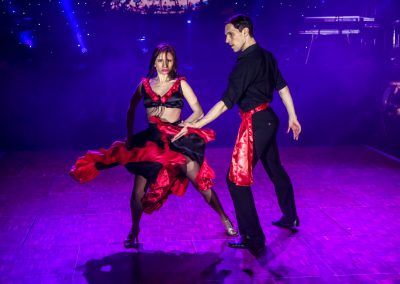 Tropicasao by Wilmark show flamenco