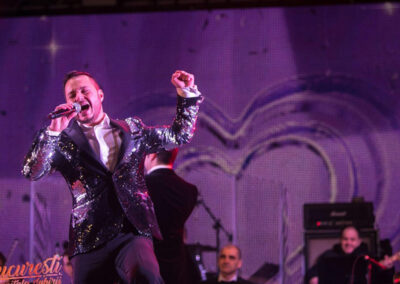 Provincialii ionut ungureanu